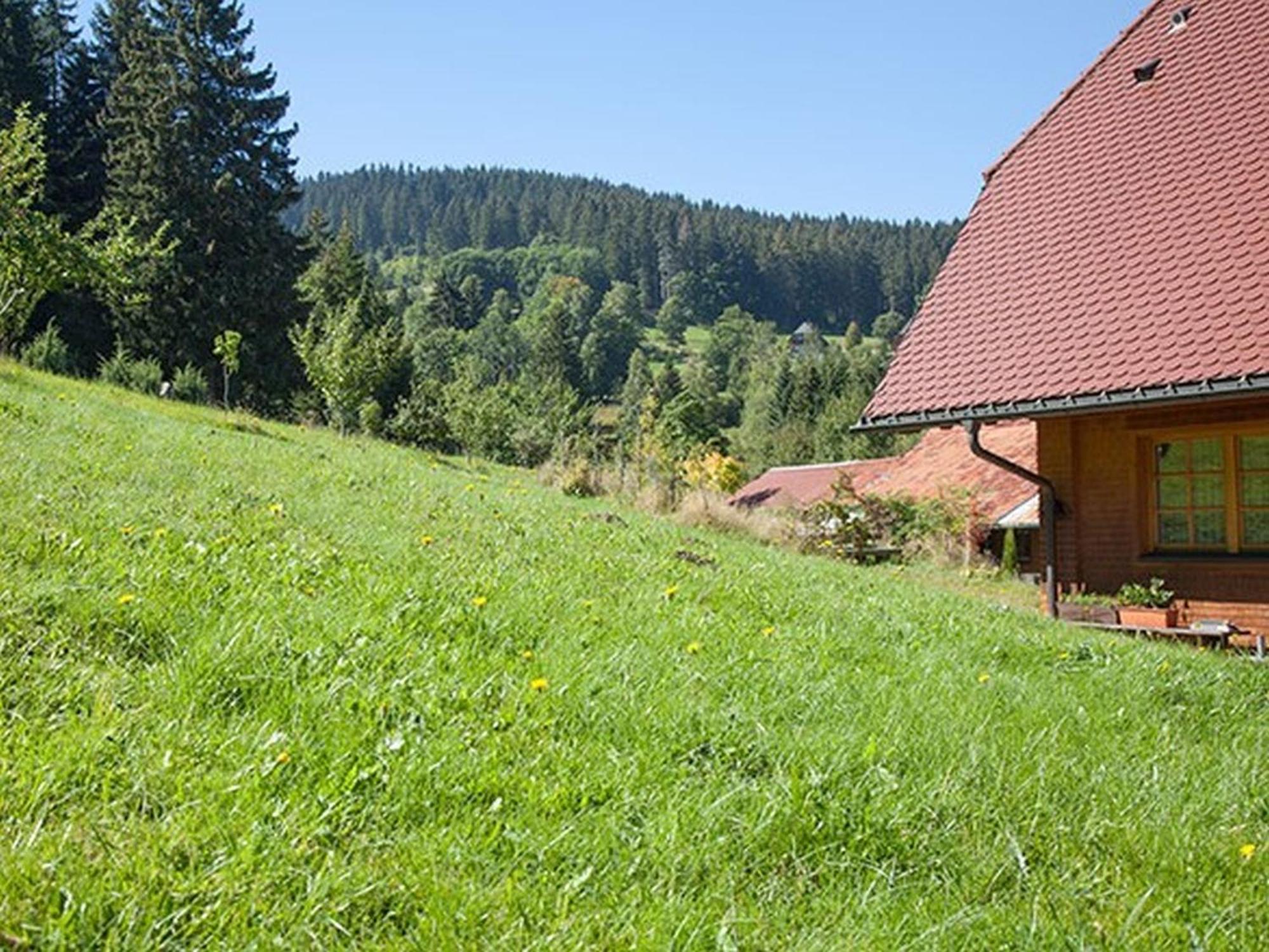 Ferienhaus Esche Hinterzarten Exterior photo